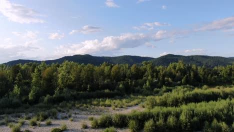 Aerial-View-of-Forest-and-Mountain-in-Summer