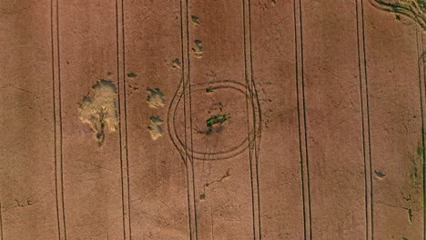 flight over the wheat field at sunset