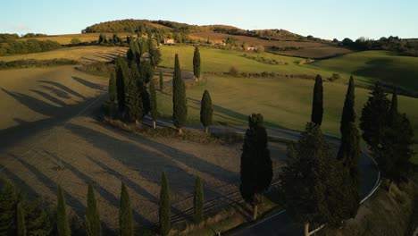 drone vuela a través de los árboles sobre el asfalto negro carretera sinuosa en la hora dorada en val d'orcia toscana