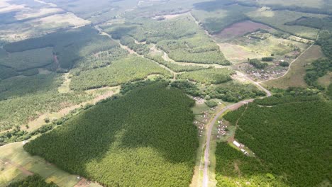 forest cover with the shadow of clouds over the trees in kenya