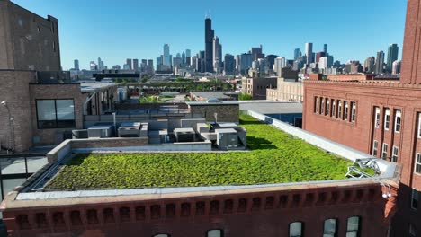 green roof on building in downtown chicago