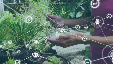 red de iconos digitales contra el acercamiento de una persona con una tableta digital tocando las hojas de una planta