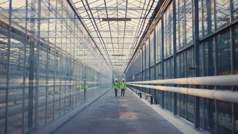 trabajadores de fábricas vacías caminando entre vidrios hablando de la producción de invernaderos