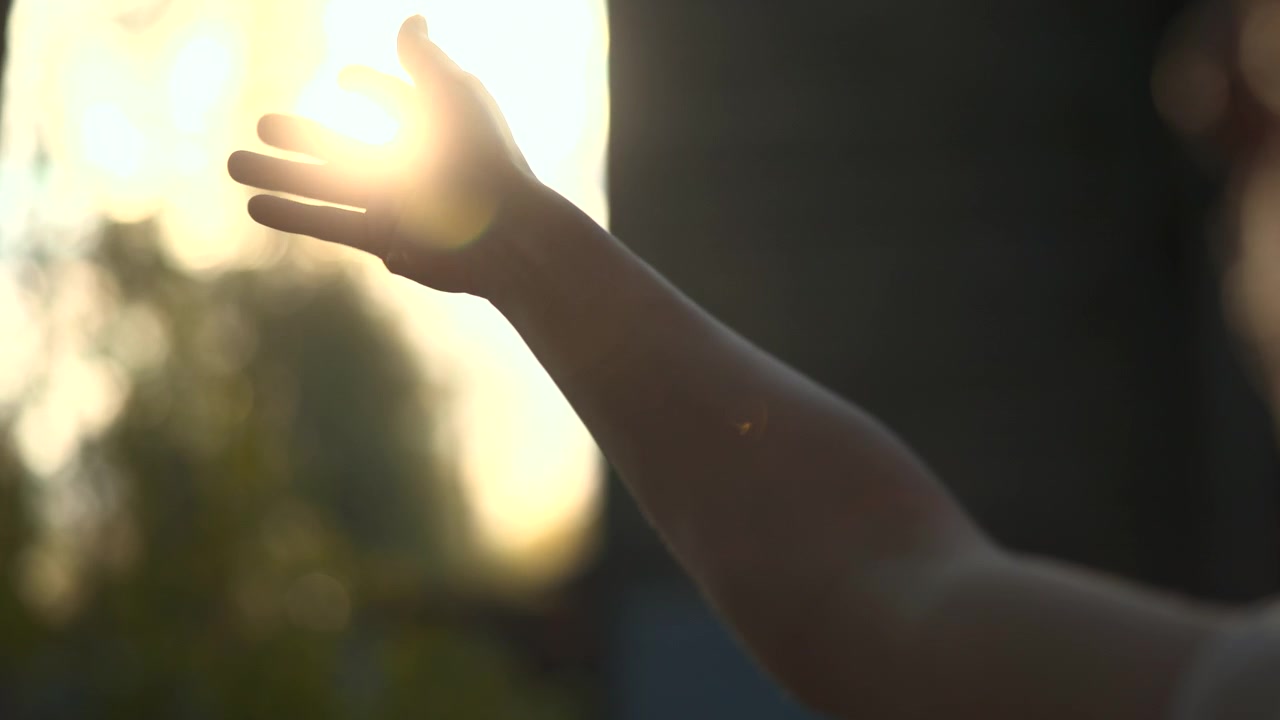 A single silhouetted hand and forearm reach upward into intense warm backlight, with soft blurred trees and open sky creating a calm outdoor scene