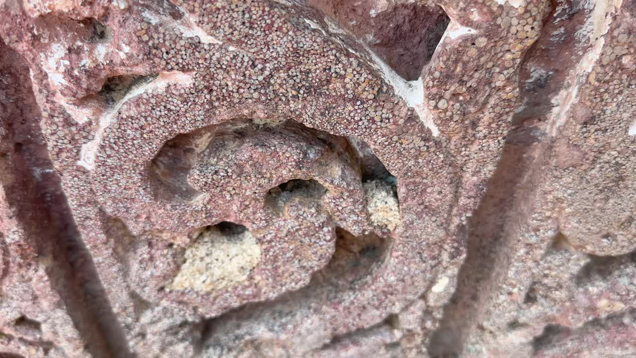 A cloesup of Stone carvings on indian ancient temple, it found on temple walls, pillars, and entrances, depict a wide array of subjects