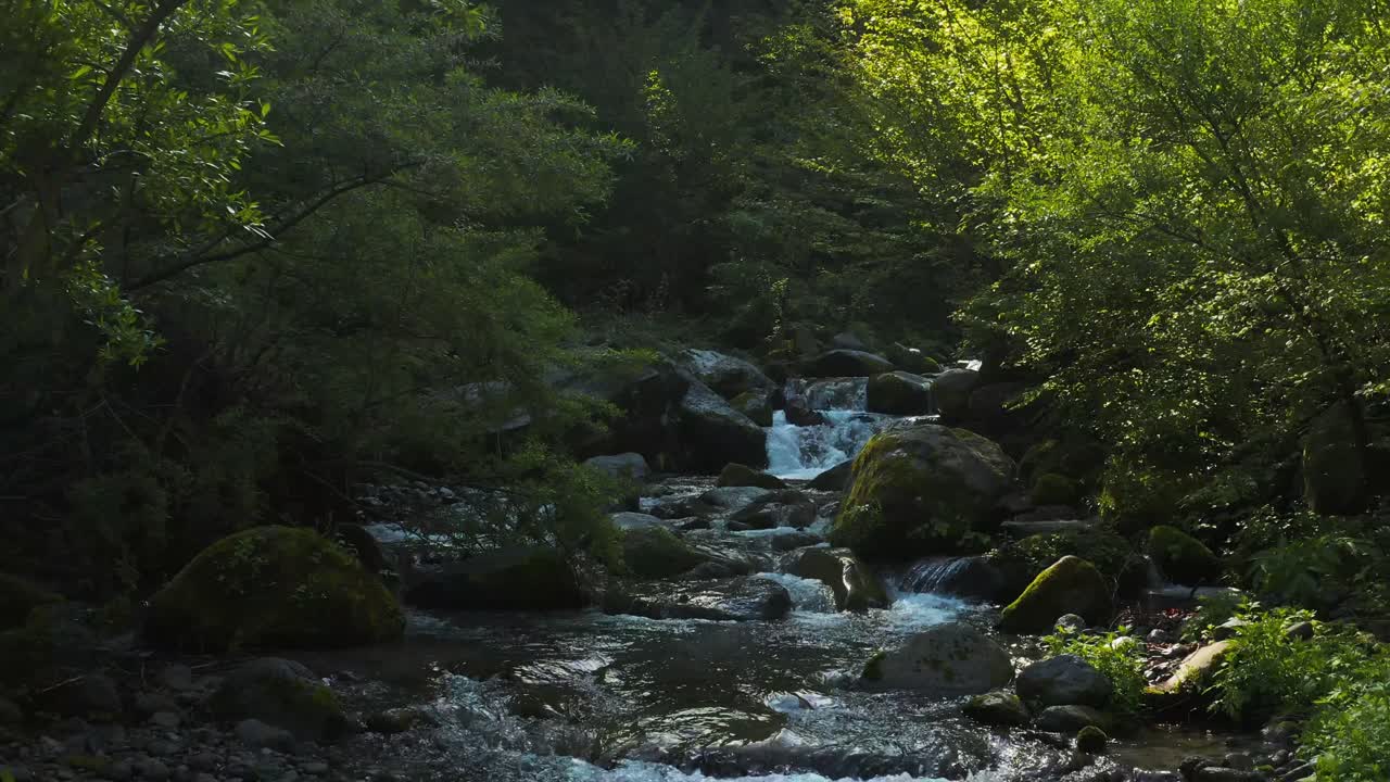 Frodig natur i Daisen Nationalpark, luftoptagelse der trækker tilbage over floden.