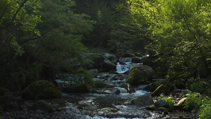 Daisen Dağı Milli Parkı'nın Yemyeşil Doğası, Nehir Üzerinde Havadan Geri Çekilme