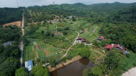 Aerial-of-organic-farm-with-variety-of-plants-and-vegetables