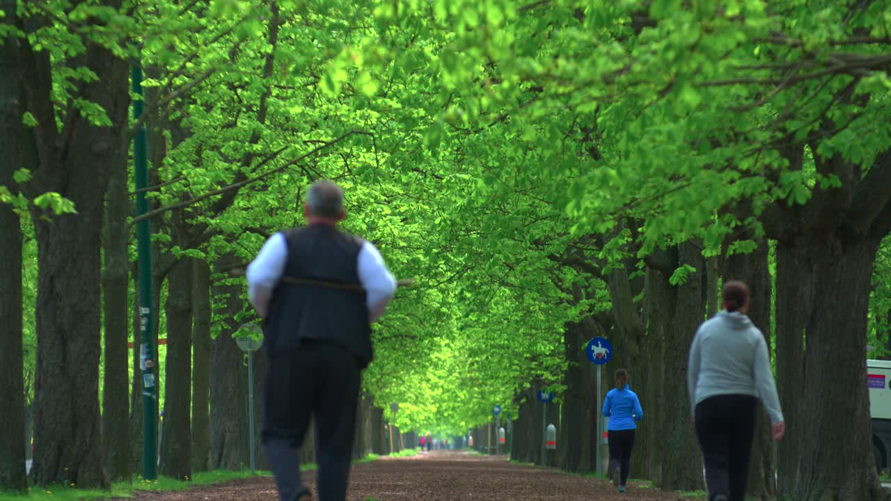 People Jogging and Walking in a Tree-Lined Path