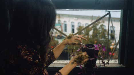 woman prunes plant with green growth on hands