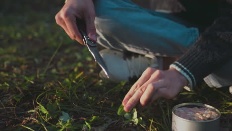 close up fair skin person seated on ground cleaning knife with green leaf next to open can food during outdoor camping in forest setting surrounded by grass sunlight shining on hands and jeans