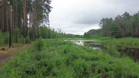 Grünes-Buschsee-Lagunenwasser-Im-Bewölkten-Tag-Natur-Luftbild-Dolly-Fly