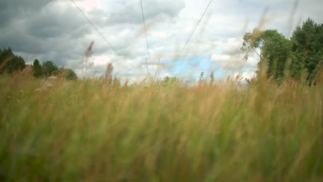 high-voltage power lines and grass