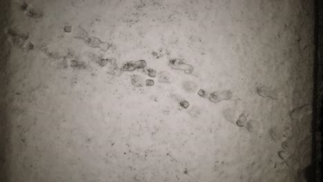 top down aerial view of footsteps in fresh snow