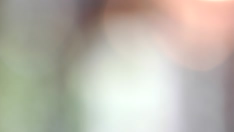el fondo lento y monótono.