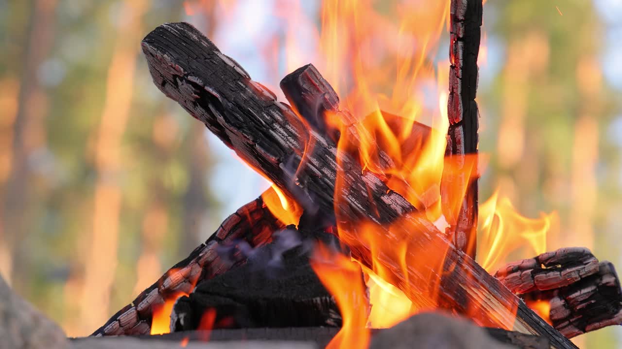 quemando una fogata en el bosque