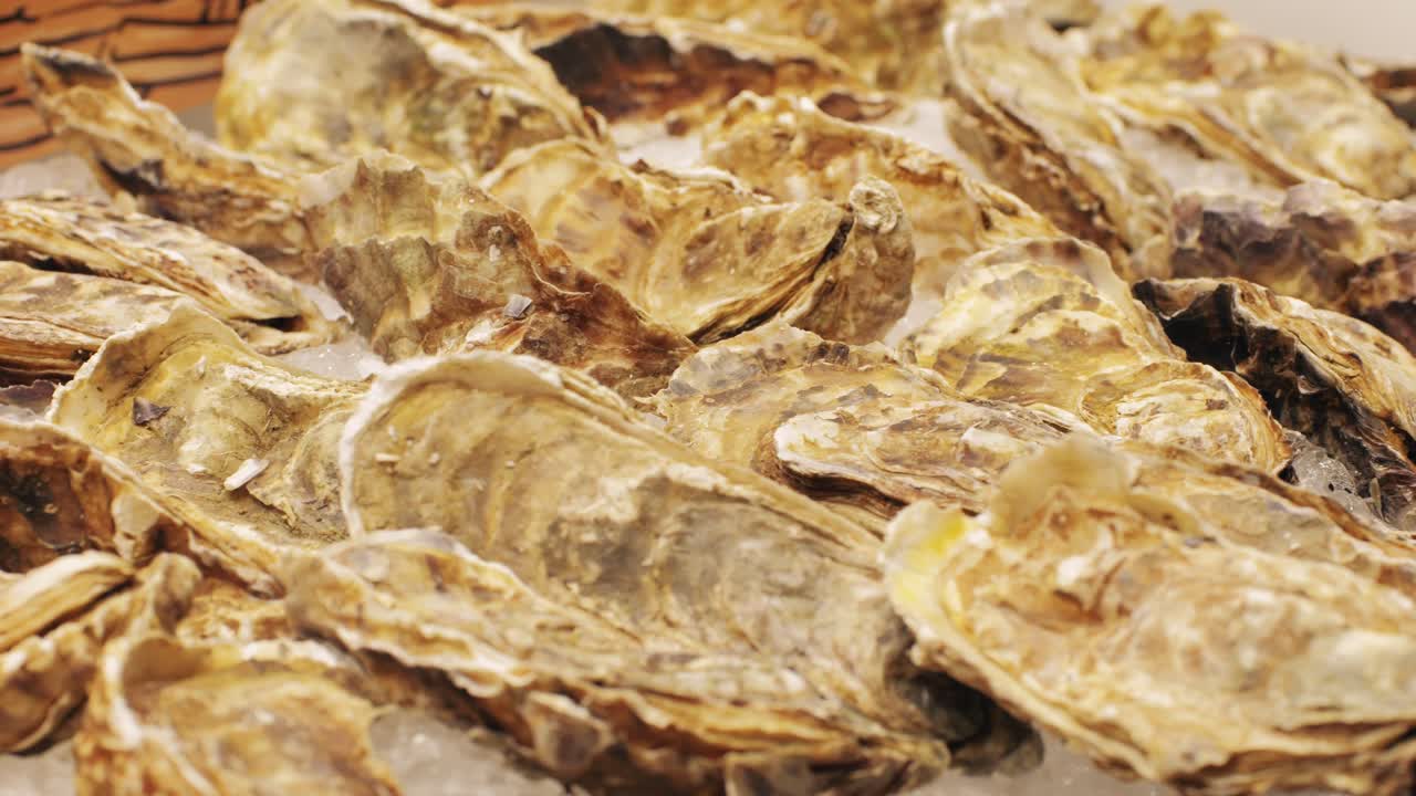 Fresh oysters in a seafood market, with textured shells, enticing customers with their appealing appearance