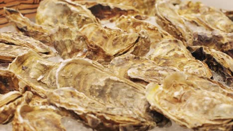 fresh oysters in a seafood market, with textured shells, enticing customers with their appealing appearance