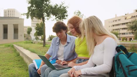 students using a laptop in the park