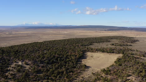 Aerial-view-of-western-landscape-in-Norwood,-Colorado,-Surrounded-By-Green-trees