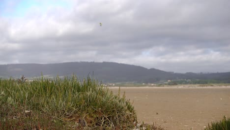 Galician-Coastline:-4K-Stock-Kiteboarding-Footage-of-Razo-Beach-in-4K-with-sony-rx-100