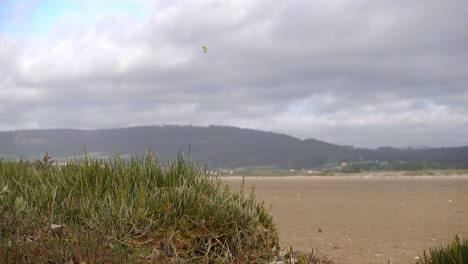 costa gallega: imágenes de kiteboarding de la playa de razo en 4k con sony rx 100
