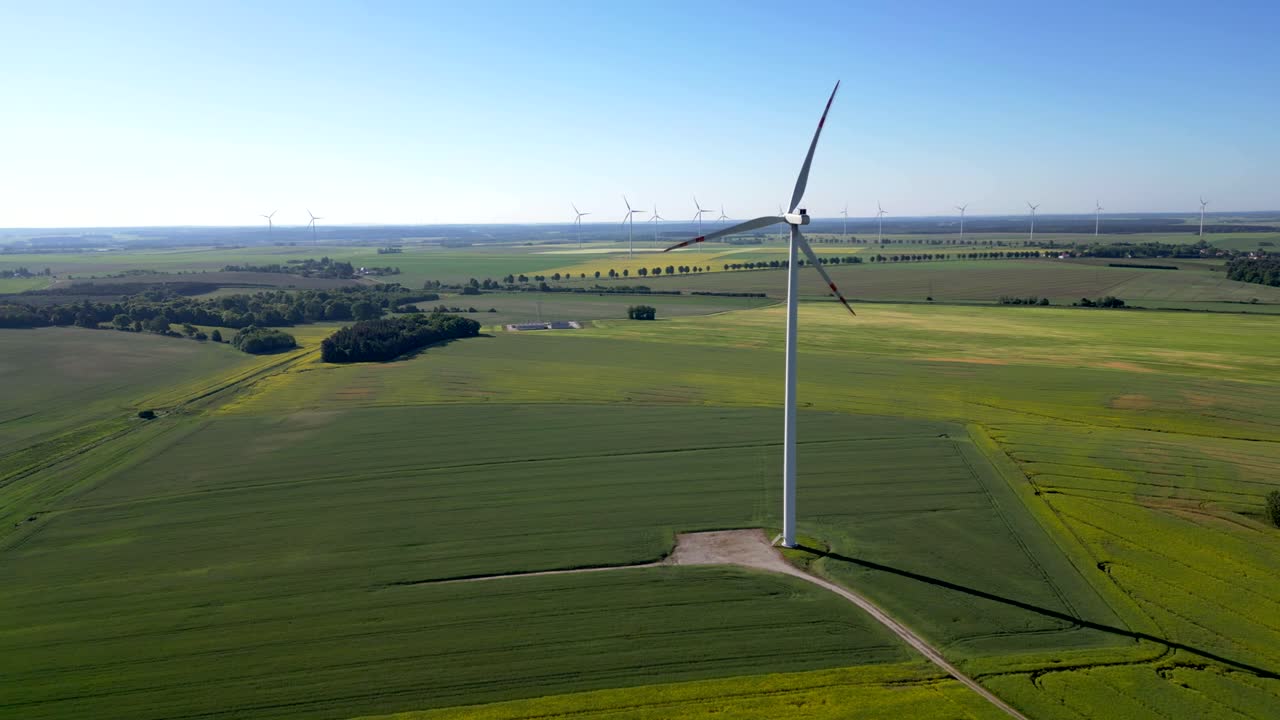 Panorama, rapeseed fields, and a wind turbine standing on it, renewable energy sources