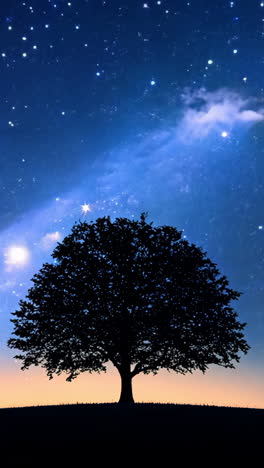 a tree is silhouetted against a dark sky with a few stars. concept of calm and serenity, as the tree stands alone in the vastness of the night sky