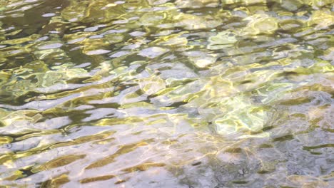 A-small-stream,-clear-river-water，River-flow