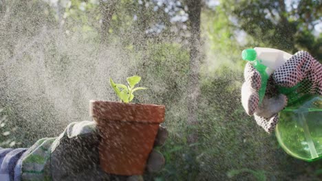 father with daughter working in garden together and watering plants