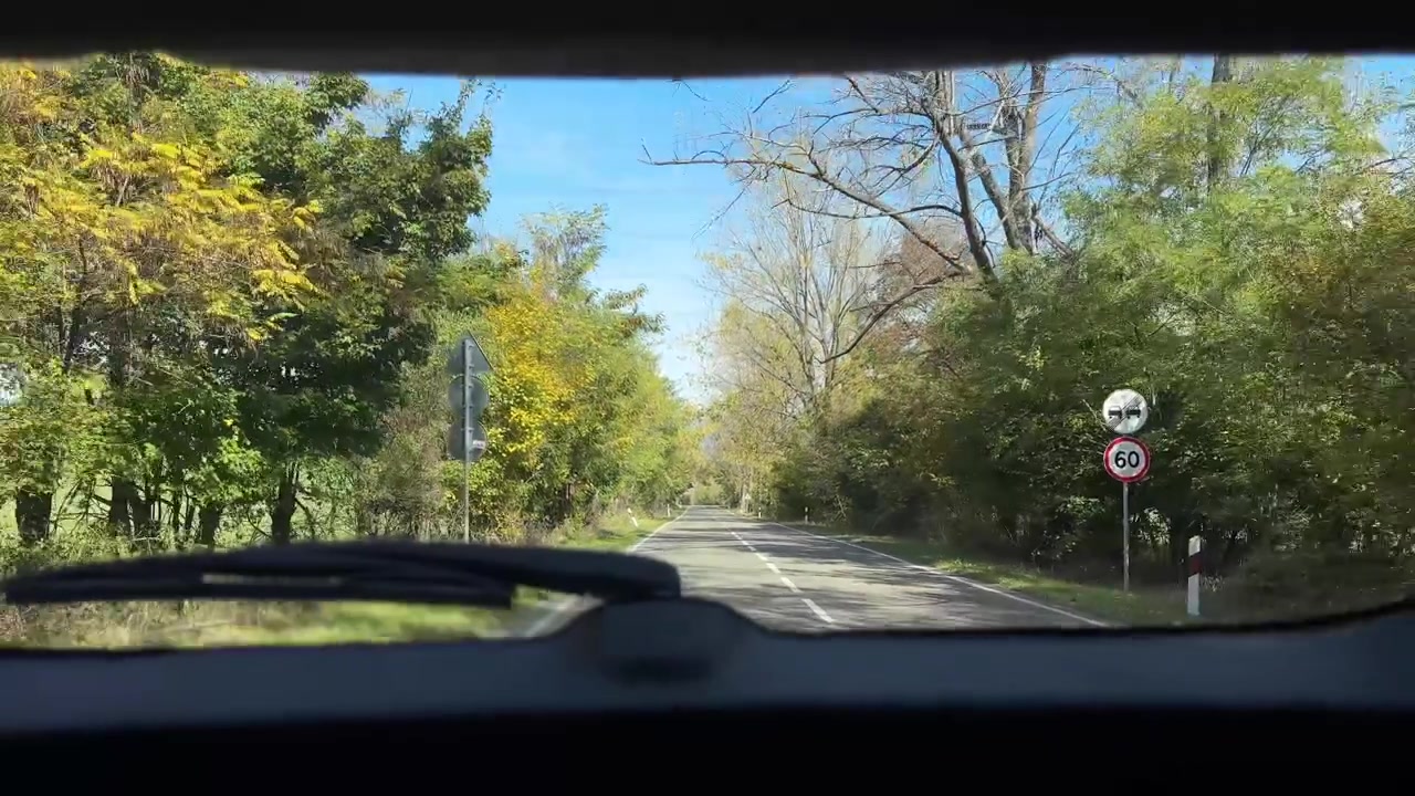 Driving Along a Scenic Country Road Lined With Trees
