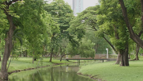tranquil city park with bridge and canal