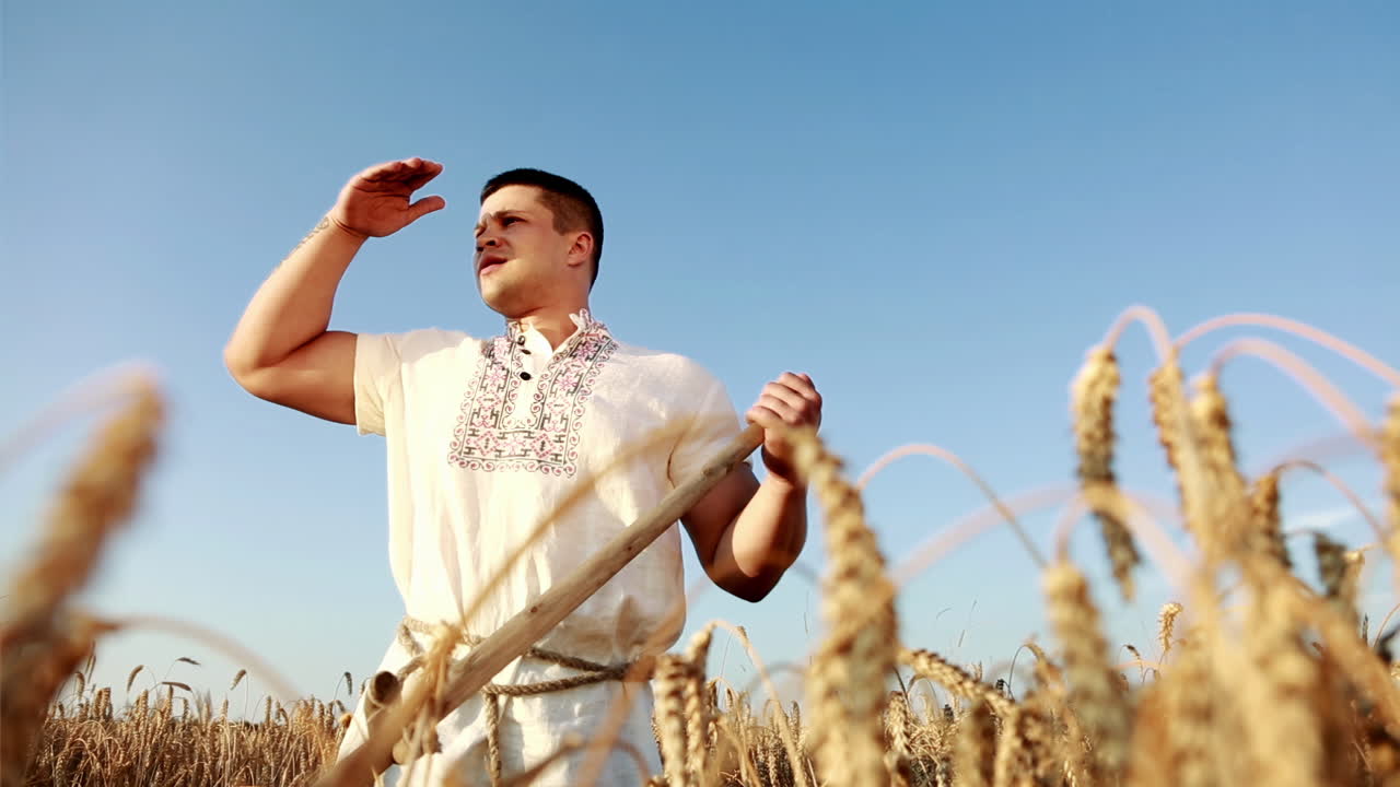 Brutal man squints in wheat field
