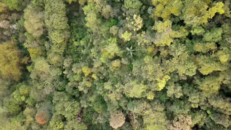 Aerial-view-of-a-forest-area-in-Central-Java,-Indonesia