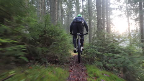 male riding bike on wild forest path on foggy day low angle slow motion tracking shot