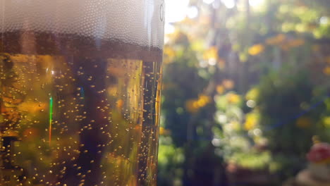 close-up of a cold glass of beer with bubbles and foam