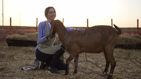 happy woman strokes and feed from hands cute goat on local farm