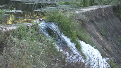 the beautiful manmade concrete dam in the rio lis river in leiria, portugal with a waterfall - slow motion