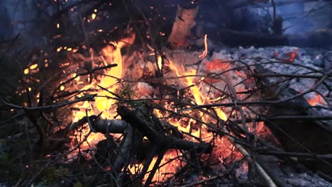 close up footage of a vibrant yellow and orange fire or bonfire burning outside in a forest during day or evening dawn time. smoke rising, embers glowing, sparks flying into the air in slow motion.