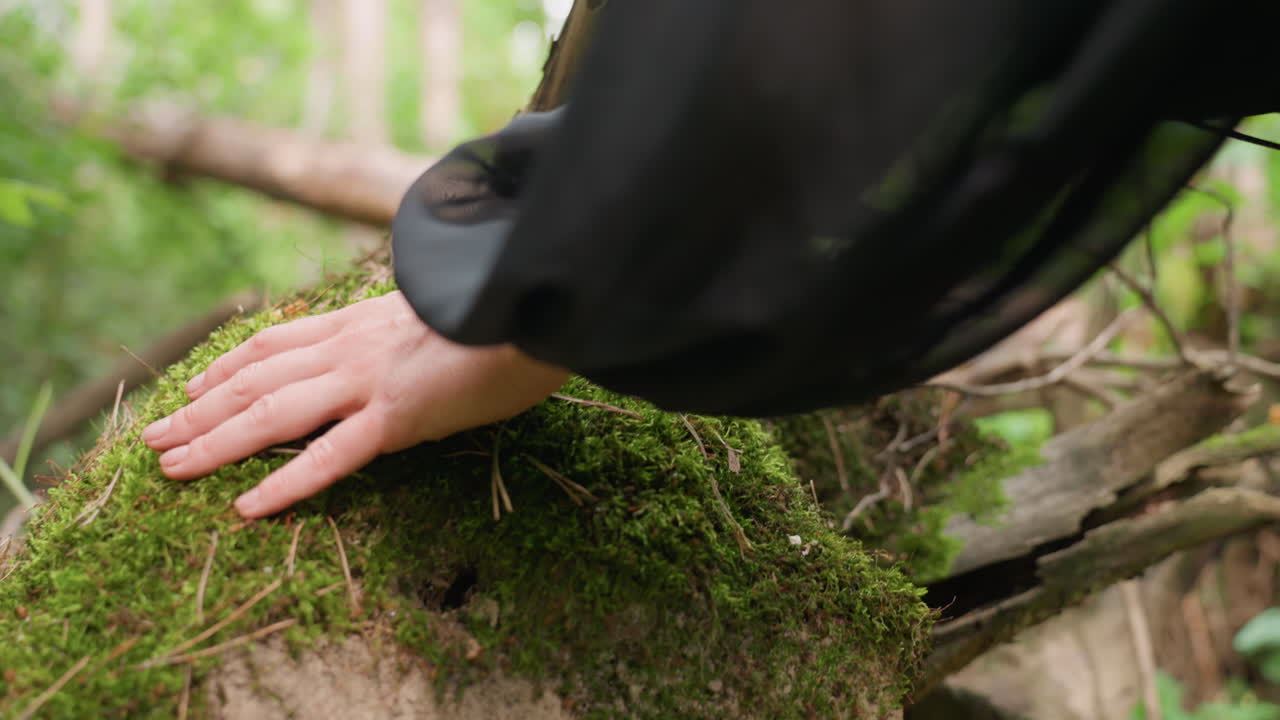 Side view of woman in flowing black dress gently touching moss-covered stump in lush forest, soft fabric moving with breeze, evoking quiet curiosity, earthy connection
