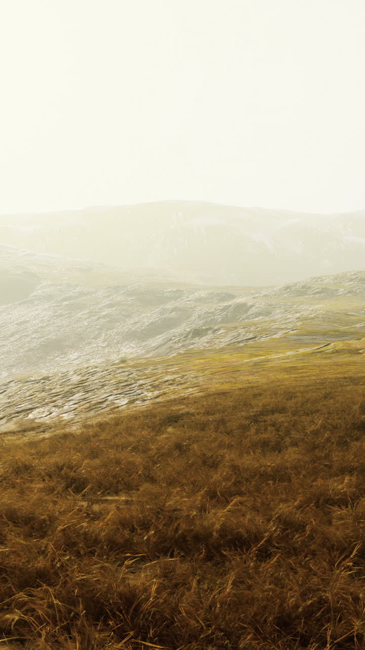 hermoso paisaje con colinas onduladas y hierba