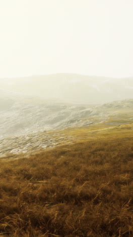 beautiful landscape with rolling hills and grass