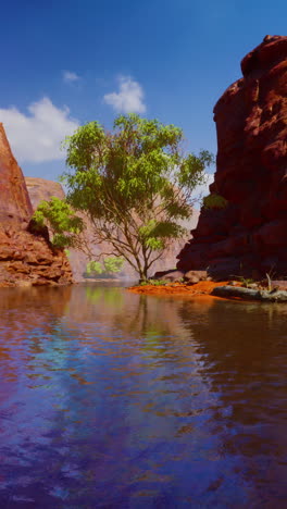 a lone tree stands in a canyon with a river flowing through it.