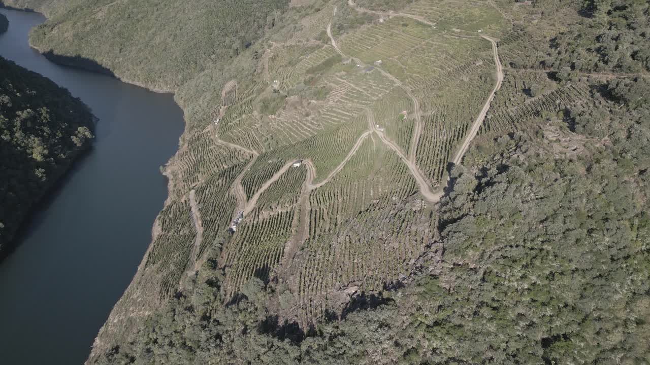 impresionantes imágenes aéreas de un viñedo a orillas del río en el cañón de sil, españa