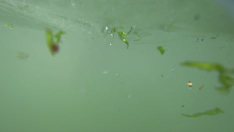 una chica nada en el mar en un anillo de goma.