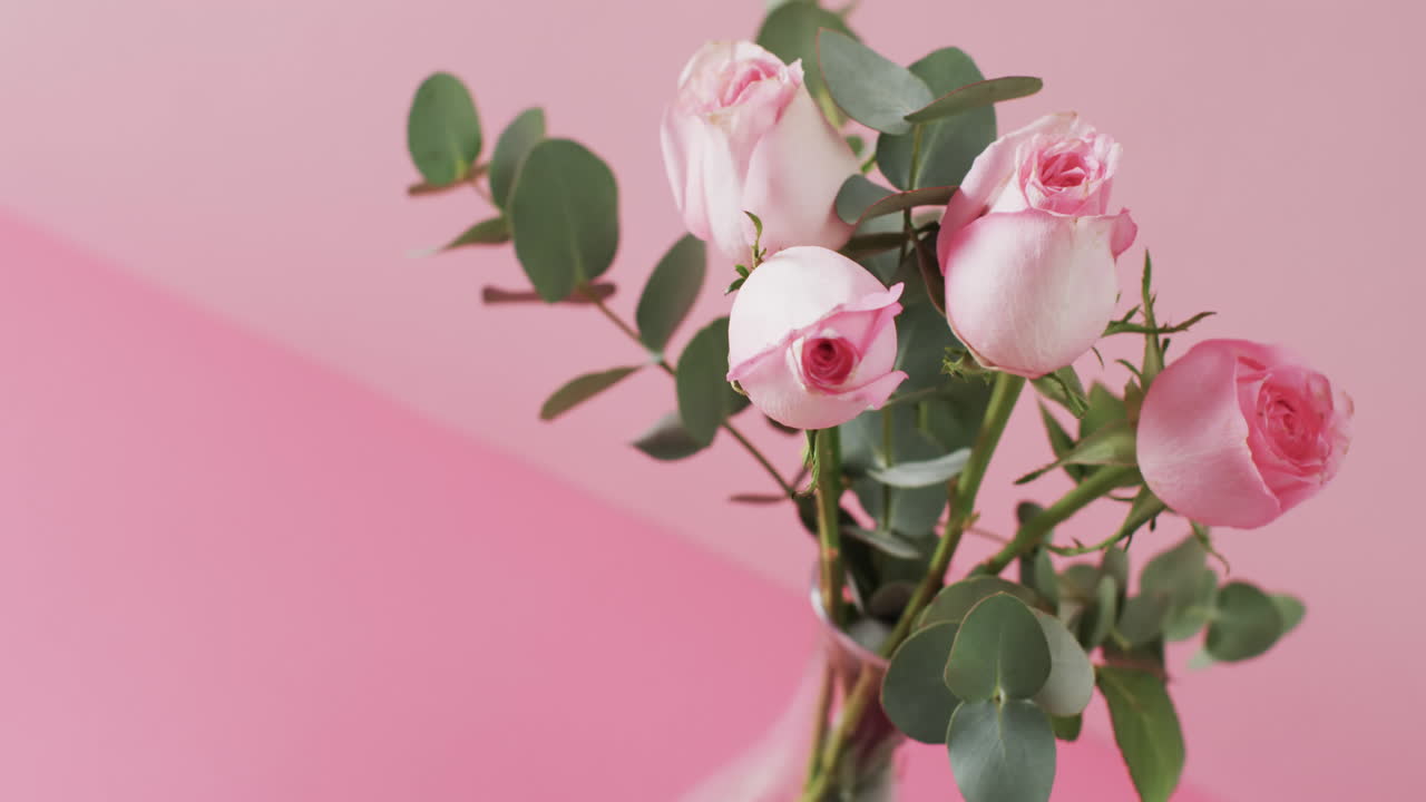 Video di rose rosa in vaso di vetro con spazio per il testo su sfondo rosa.