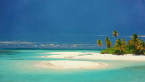 breathtaking aerial view capturing a tropical paradise with pristine white sandy beach, crystal clear turquoise waters, and lush palm trees swaying under a vibrant blue sky