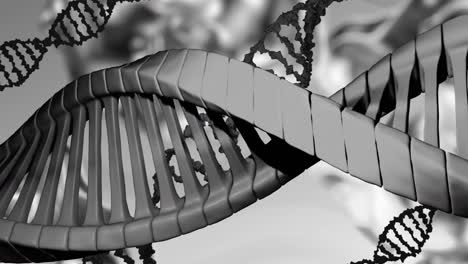 animación de macro de cadenas de adn girando sobre un fondo gris.