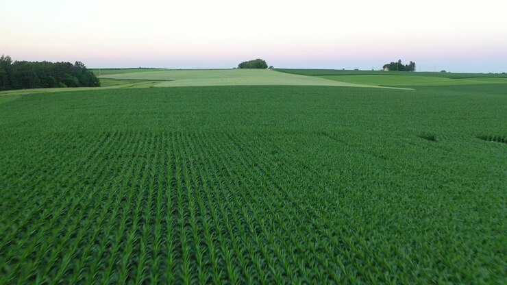 vistas aéreas de tierras de cultivo y campos