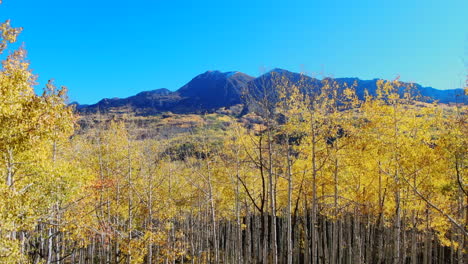 colorful colorado yellow fall autumn aspen tree forest cinematic aerial drone kebler pass crested butte gunnison wilderness dramatic incredible landscape daylight slowly up reveal peaks motion